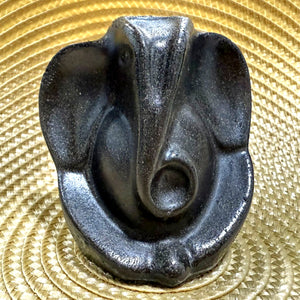 Lord Ganesh ji
