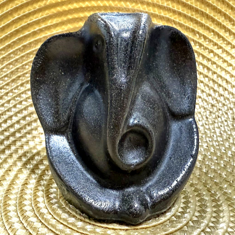Lord Ganesh ji